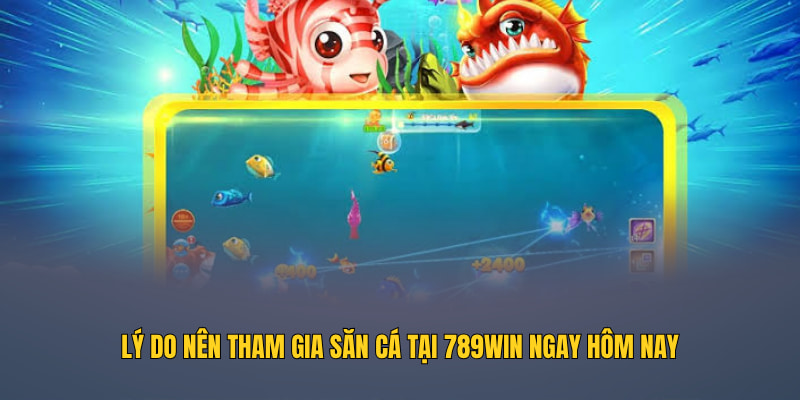 Lý do nên tham gia săn cá tại 789WIN ngay hôm nay