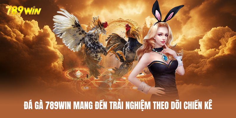 Đá gà 789WIN là chuyên mục được đầu tư mạnh mẽ