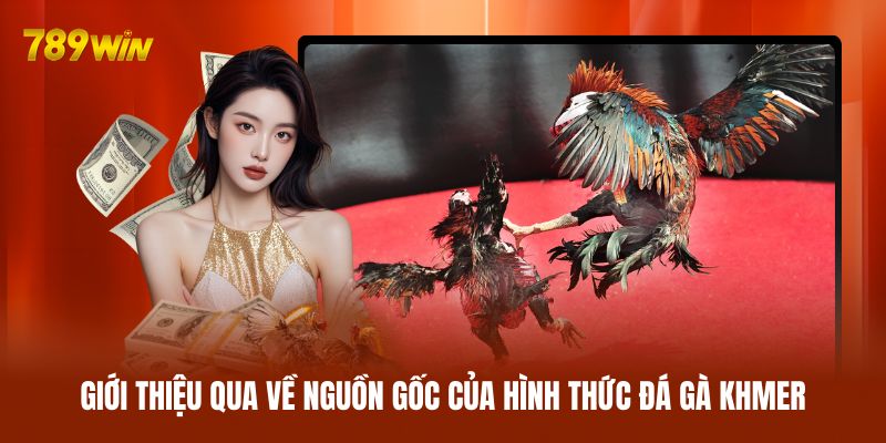 Giới thiệu qua về nguồn gốc của hình thức đá gà Khmer