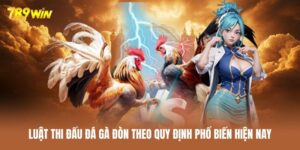 Một trận đá gà đòn luôn tuân thủ quy định chặt chẽ