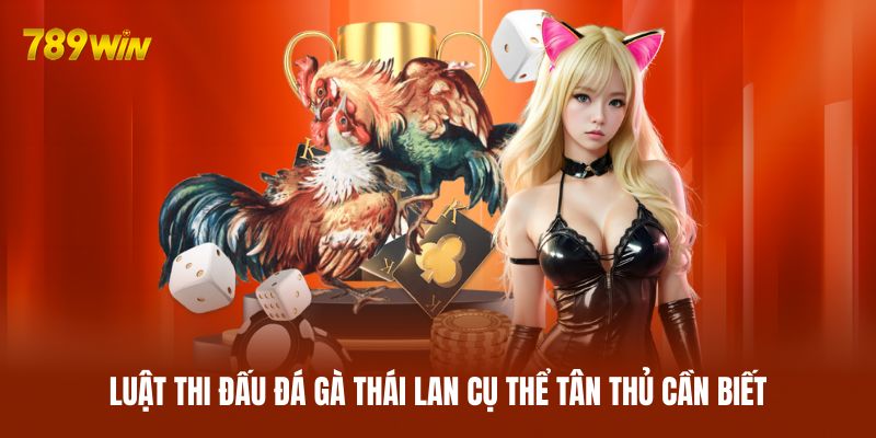Luật thi đấu đá gà Thái Lan cụ thể tân thủ cần biết