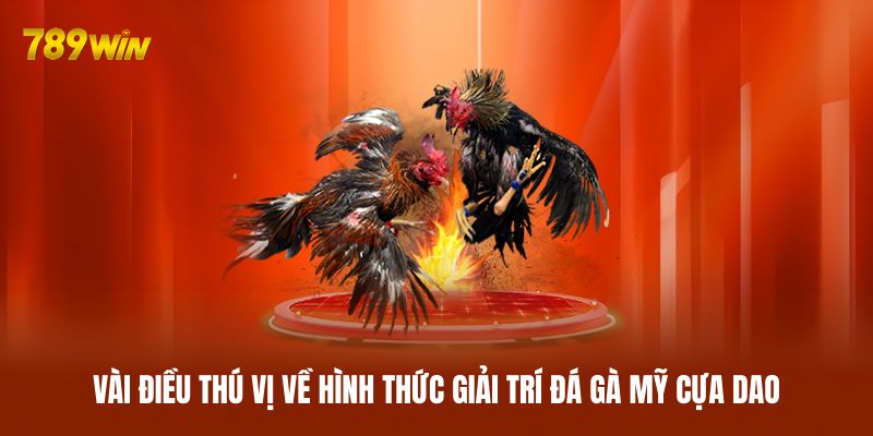 Vài điều thú vị về hình thức giải trí đá gà Mỹ cựa dao