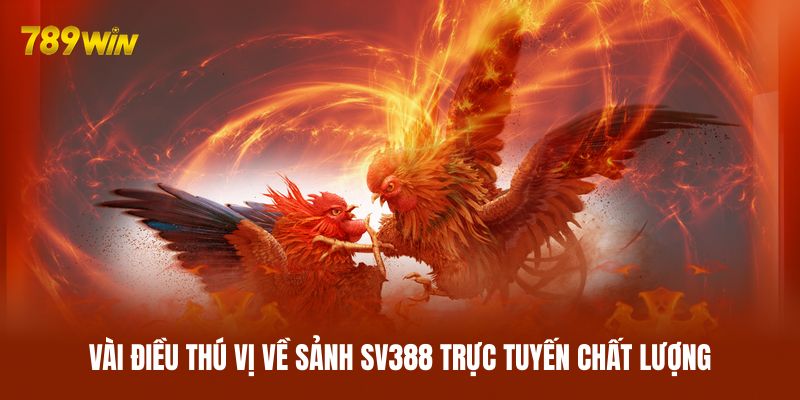 Vài điều thú vị về sảnh SV388 trực tuyến chất lượng Vài điều thú vị về sảnh SV388 trực tuyến chất lượng